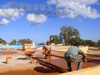 Construction   Delphinarium  Friguia Park en Tunisie ::  RASSIL BATIMENT