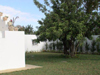 Travaux de jardinage Hammamet ::  RASSIL BATIMENT