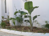 Travaux de jardinage  Tunisie  ::  RASSIL BATIMENT