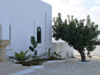 Travaux de jardinage  Hammamet  ::  RASSIL BATIMENT